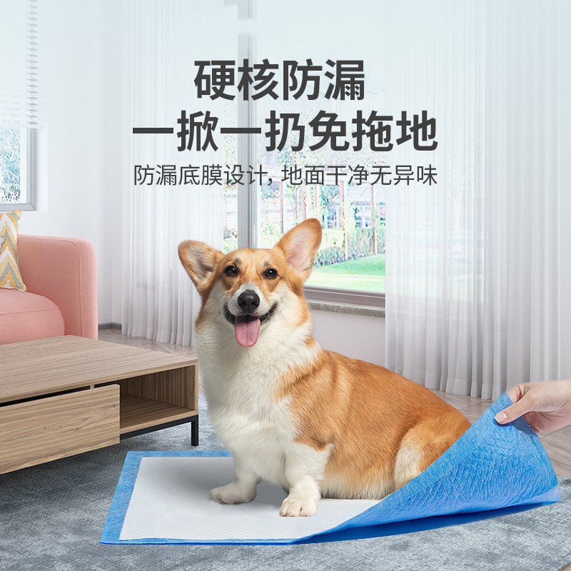 狗狗尿片泰迪小狗吸水尿垫年尿不湿金毛小号中厚除臭尿布宠物用品