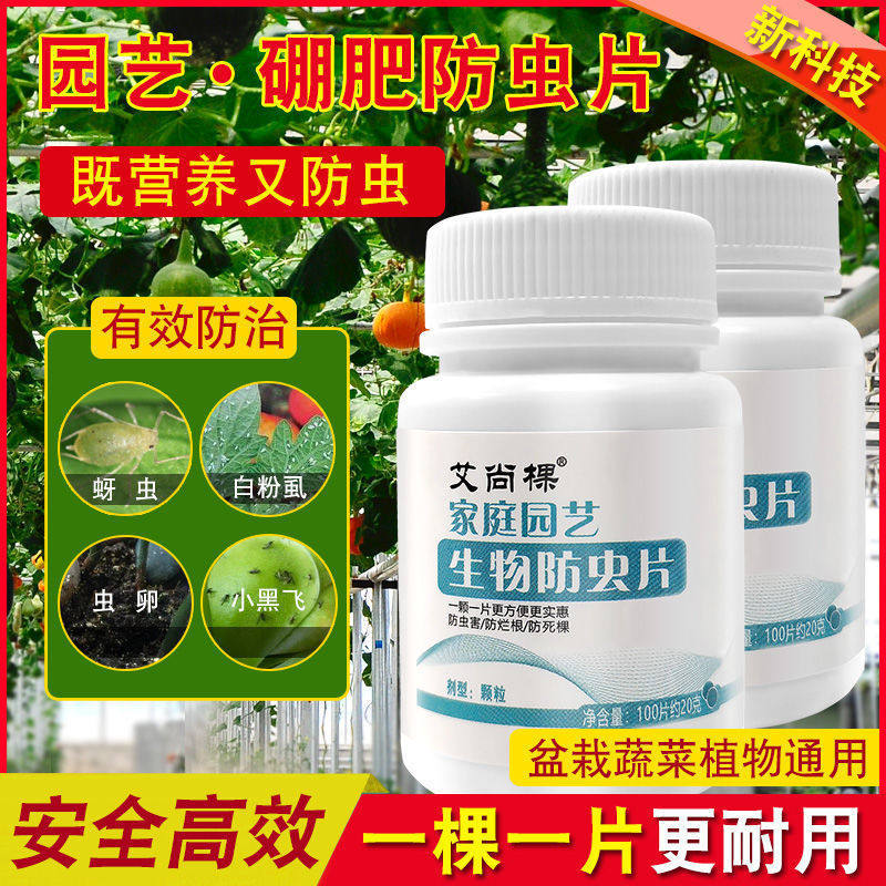 家庭园艺生物防虫片防小黑飞蚜虫白粉虱小菜蛾飞虫家用花草月季