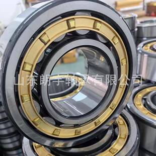 圆柱滚子轴承RN205RN206RN208RN210RN305RN306RN307RN308