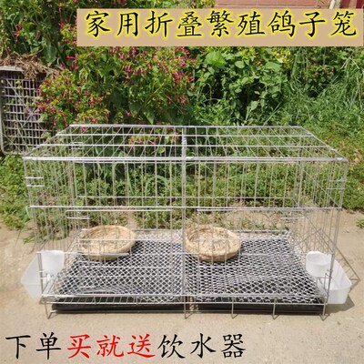 鸽子笼鸽子配对笼加粗加密大号鸽舍折叠白鸽繁殖笼家用养殖鹌鹑笼
