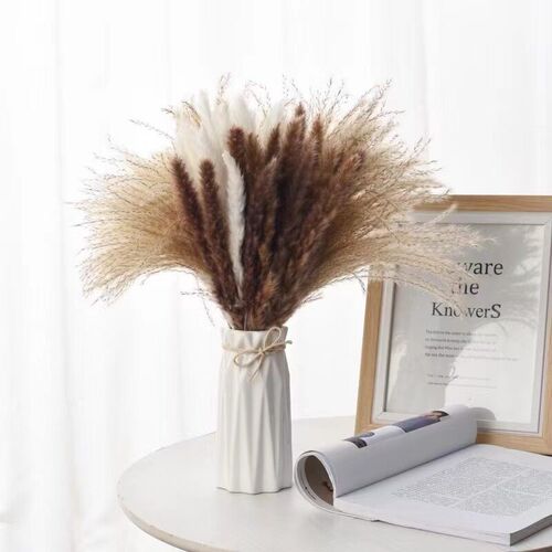Yunnan Dried Flower Manufacturer E-commerce Small Reed Dried