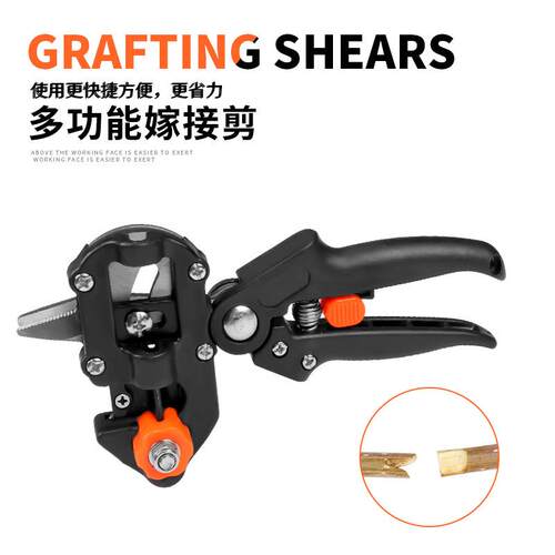 Grafting machine fruit tree grafting device seedling garden