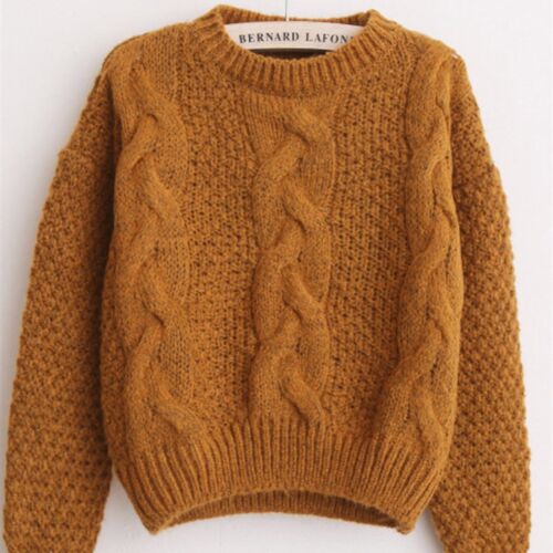 H.SA Women Winter Pullover and Sweaters Oneck Twisted Women