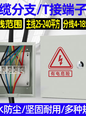 电缆t接端箱 低压铜铝分支转换接线 高压电缆分支箱 分线配电箱