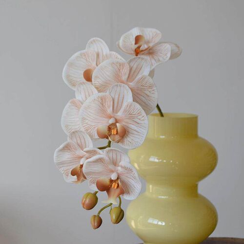 Glass Vase Potted Decoration Nordic Decorative Vase Hydropon