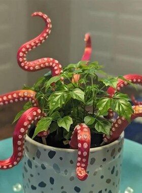 跨境Set of 7 Sea monster Tentacles海怪章鱼触手7件套花盆摆件