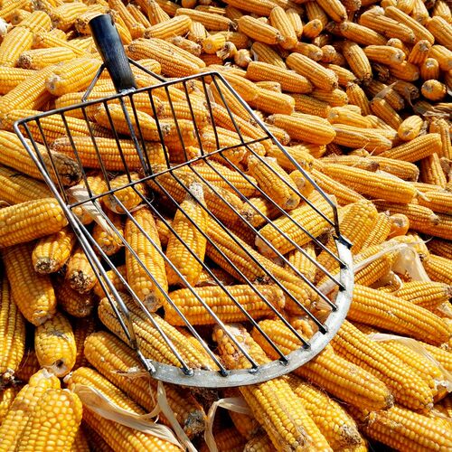 Farm Tools Corn Forks Solid Corn Forks with WaveFlatRound He
