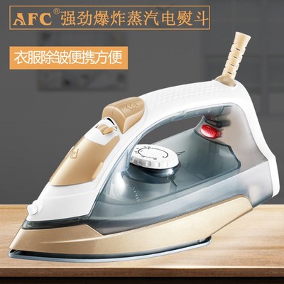 Electric Iron Steam Ceramic Soleplate Clothes Steamer