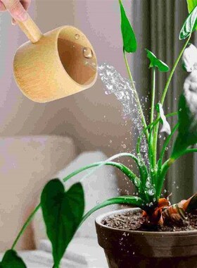 Ladle for Kitchen Bath Spoon Shengshui Japanese Style