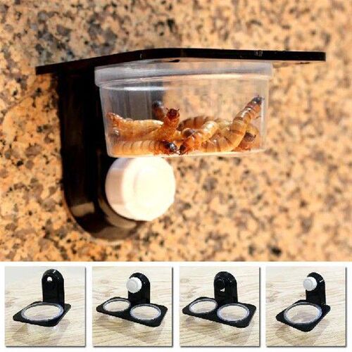 1pcs ABS Reptile Tank Food Water Feeding Bowl Insect Spider