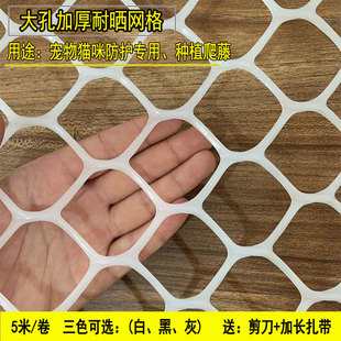 防猫窗网阳台猫咪防护围栏网大孔塑料网爬藤网宠物防坠落封窗网格