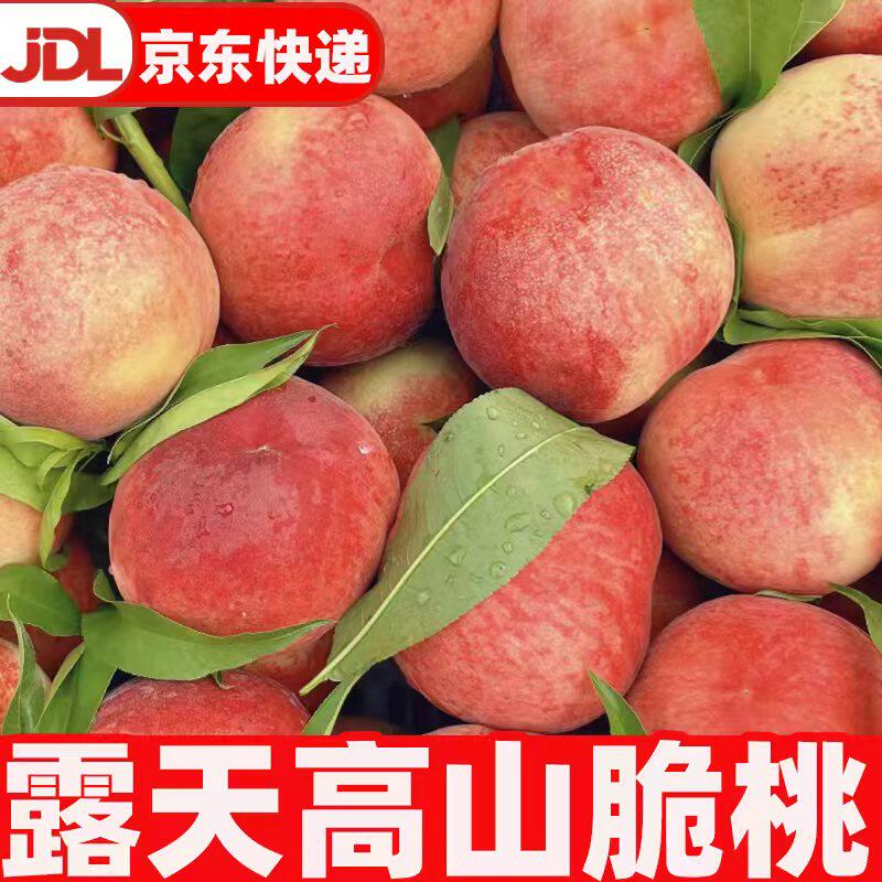 【京东包邮】正宗露天高山桃子脆桃新鲜香甜脆嫩水果整箱