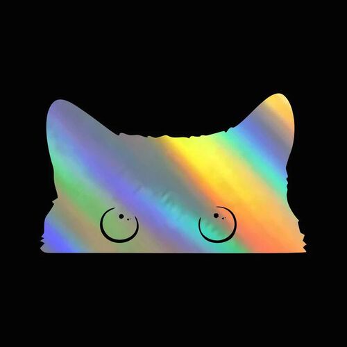1 piece Hot  Car er Accessories Poor Cat Is Stealing with Bi