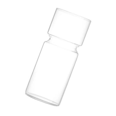 MagiDeal Clear Glass Bottle Vase Flower Planter Pot Hyacinth