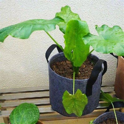 2/3/5/7/10 Gallon Colorful Plant Grow Bags Flower Vegetable