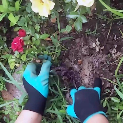 Gardening glove designed for right-hand use, featuring punct