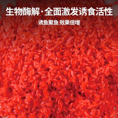 Old ghost krill wine rice red worm rice wild fishing fish fo