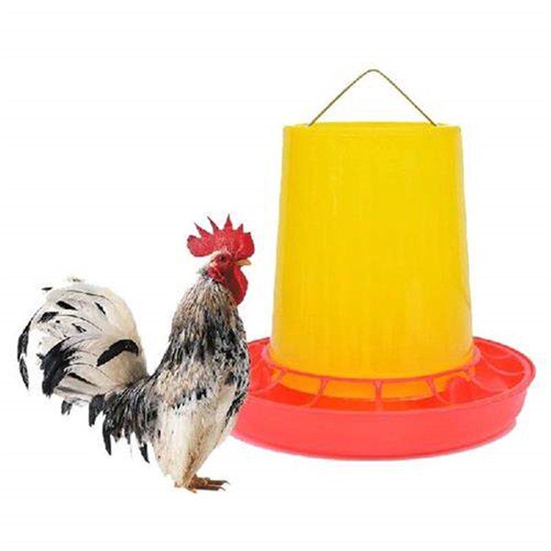Chicken Poultry Vshaped Entrance Feed Bucket Outdoor - 实物图