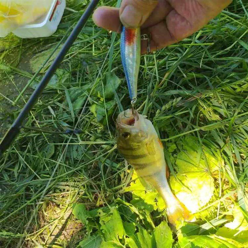 Minnow Crank Wobbler Jerkbait Fishing Lure 8.8Cm 9G Isca Art