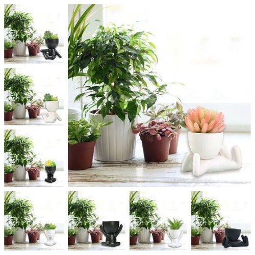 Black/White Succulent Plant Pot Decorative Flower Planter