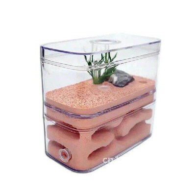 Highly Moisturizing Ant Farm Plaster Ant Nest Insect Box