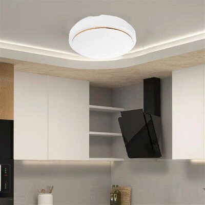 Ceiling Lampshade Fan Glass Bowl Replacement Light Cover