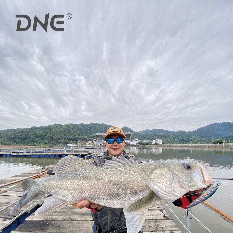新款DNE去路亚暴牙沉水铅笔鱼饵远投硬饵翘嘴海鲈颤沉路亚假饵,户外/登山/野营/旅行用品,路亚饵,淘宝优惠券,粉丝福利购,淘宝优惠卷
