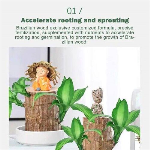 150ml Brazilian Wood Fertilizer Brazilian Wood Houseplant