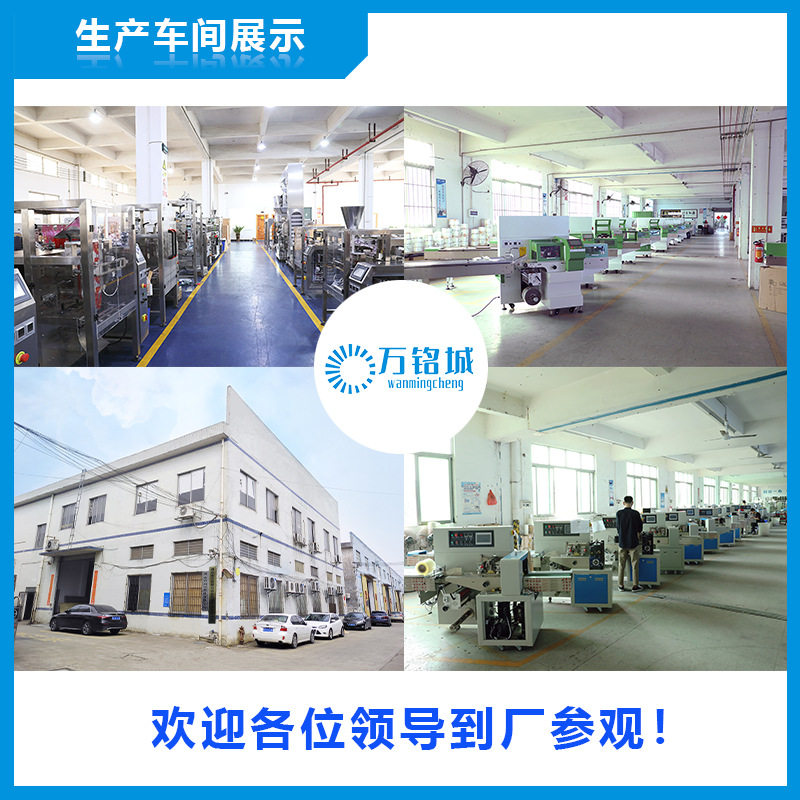 厂家全自动面粉装机 定量粉剂分装机 螺杆充填粉末装机设备