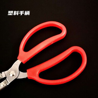 Crab Monopterus albus Clip Loach Pliers Non-slip Eel Pliers