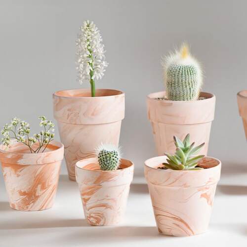 包邮整箱红兰花盆网红玛奇朵陶土盆多素烧陶瓷肉透气蝴蝶gq658107