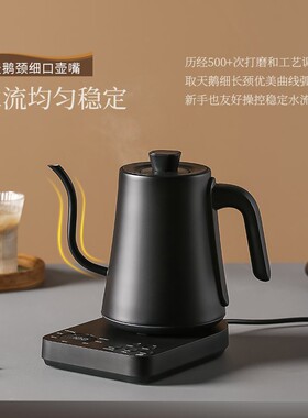 出口烧水壶家茶用泡35635专用水长嘴手冲咖啡壶型功小夫茶电热壶