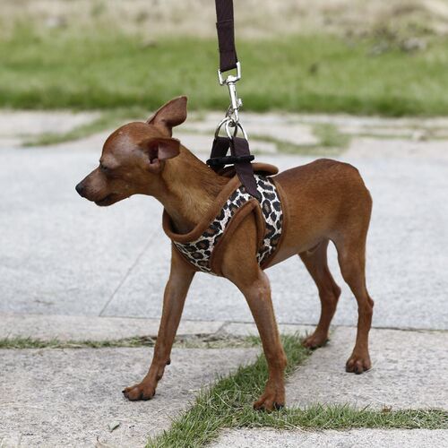 Small Pet Dog Harness Chihuahua Harness Dog Vest Harnesses f