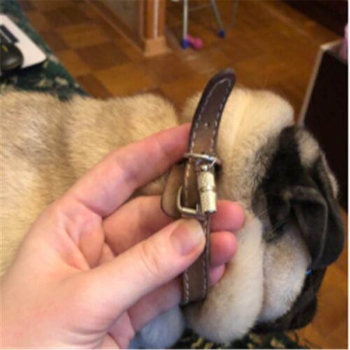 Pet Flying Discs EVA Dog Training Ring Puller Resistant Bite
