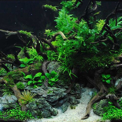1 Pcs Natural Tree Trunk Aquarium Decoration Wood Artwork De