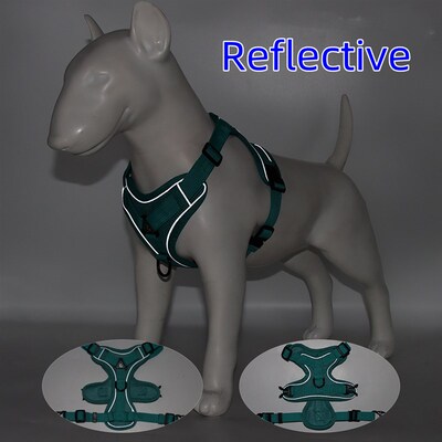 Harness and Leash Set Pet Accessories Dog Harness For Small