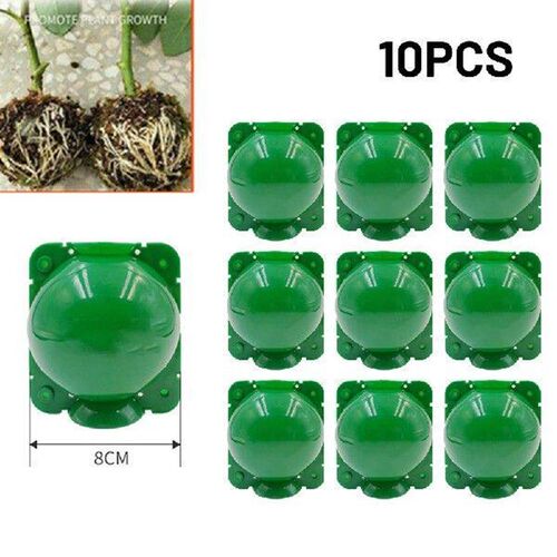 High Quality Grafting Box Plant Rooting 10pcs Ball