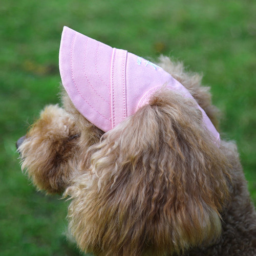 Pet Dog Caps Small Puppy Pets Summer Solid Oxford Cap Dog Ba