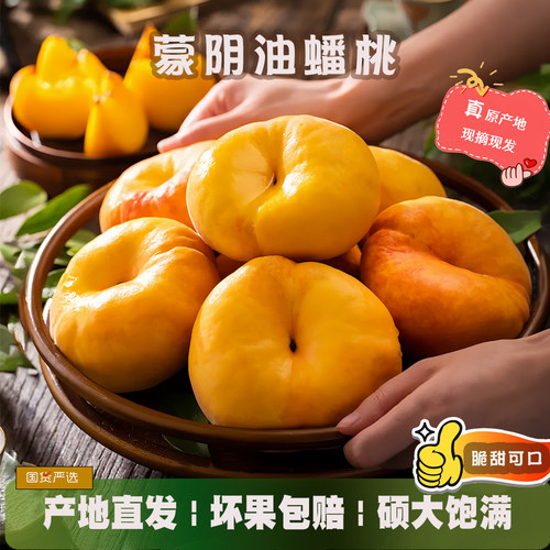 山东油蟠桃产地直发现摘