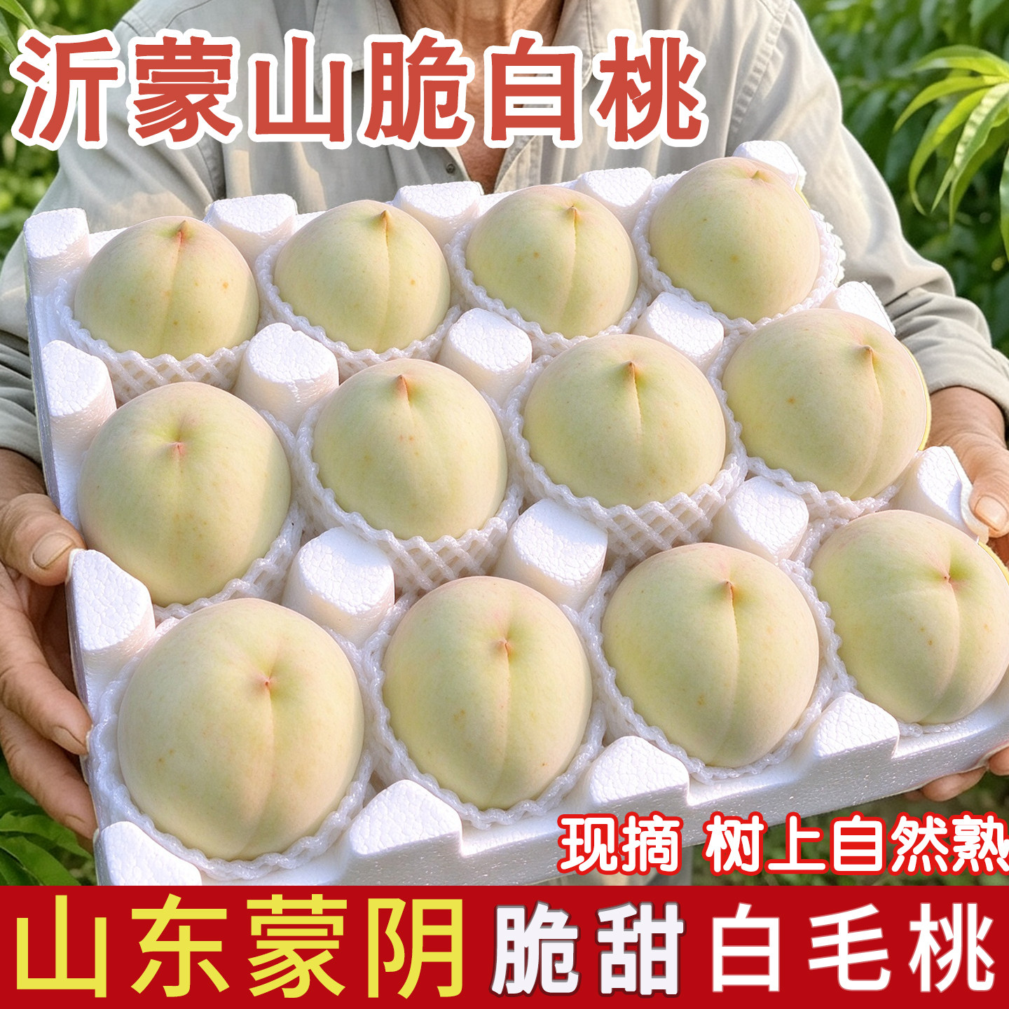 蒙阴奶油大白桃当季脆甜包邮