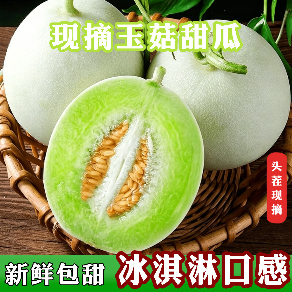 山东当季正宗玉菇脆甜甜瓜包邮