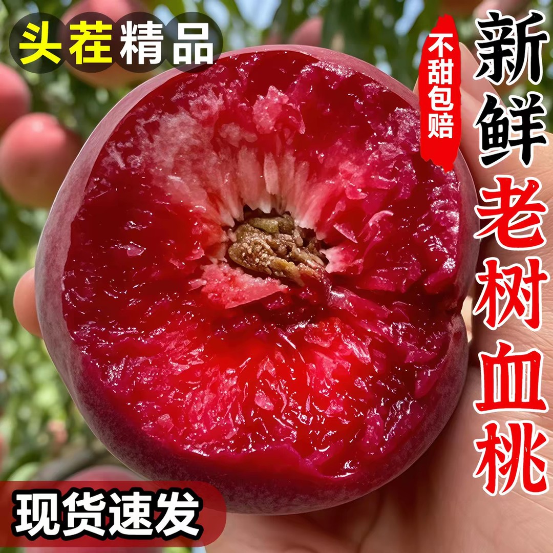 蒙阴血桃正宗山东蒙阴蜜桃大红毛桃雪桃新鲜水果现摘应季时令桃子