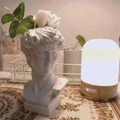 Epoxy Resin Silicone Mold David Head Vase Silicone Molds