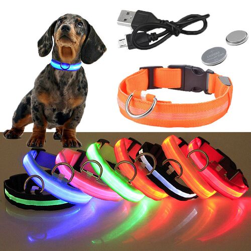 USB Rechargeable Pet Dog LED Glowing Collar  Luminous Flashi