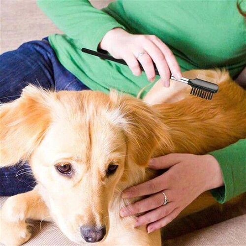 Pet Eye Comb Cleaning Grooming Brush Cat Dog Pets