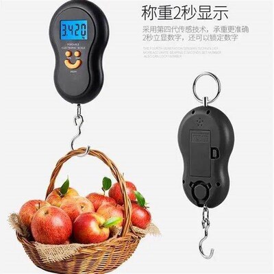 Handheld Hanging Scale, Electronic Scale, Weighing Device, H