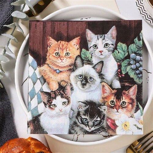 20Pcs/Bag Napkins Paper Cats Decoupage Napkin Paper Tissue