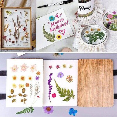 Flower Pressing Tools Flower Press Kit for Diy Dried Flower