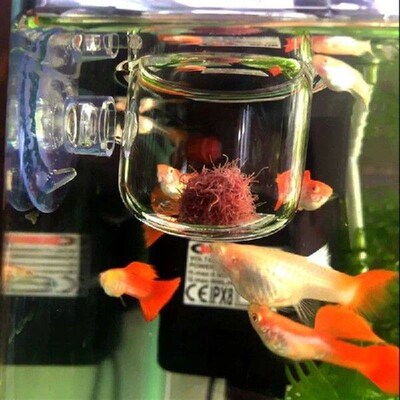 2 Pack Red Worm Feeder Transparent Acrylic Shrimp Fish for