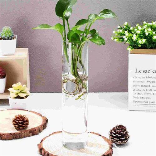 2 Pcs Glass Tube Wall Vase Flower Pot Terrarium Plants